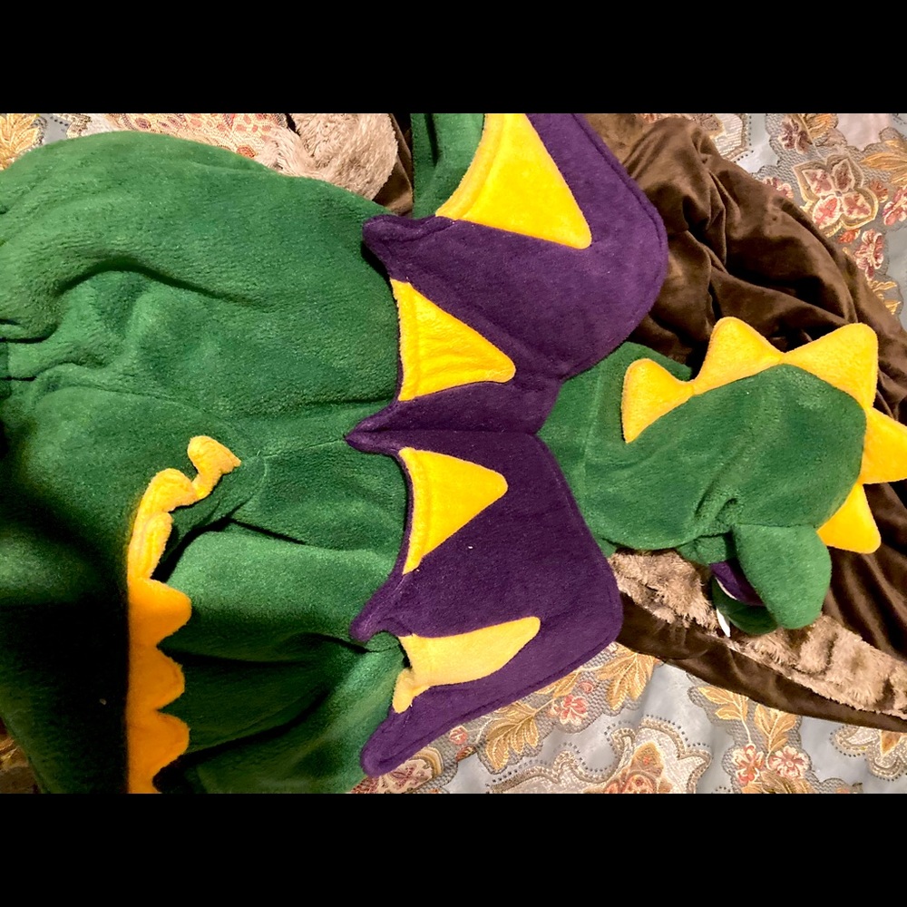 Dragon costume